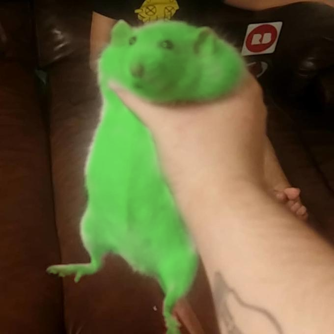 miso🍜 tweet media