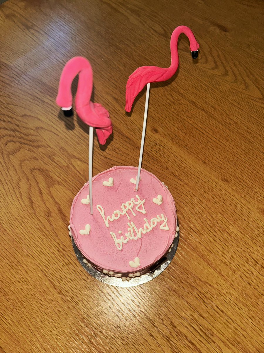 Aleksa Flamingo 🦩 tweet media