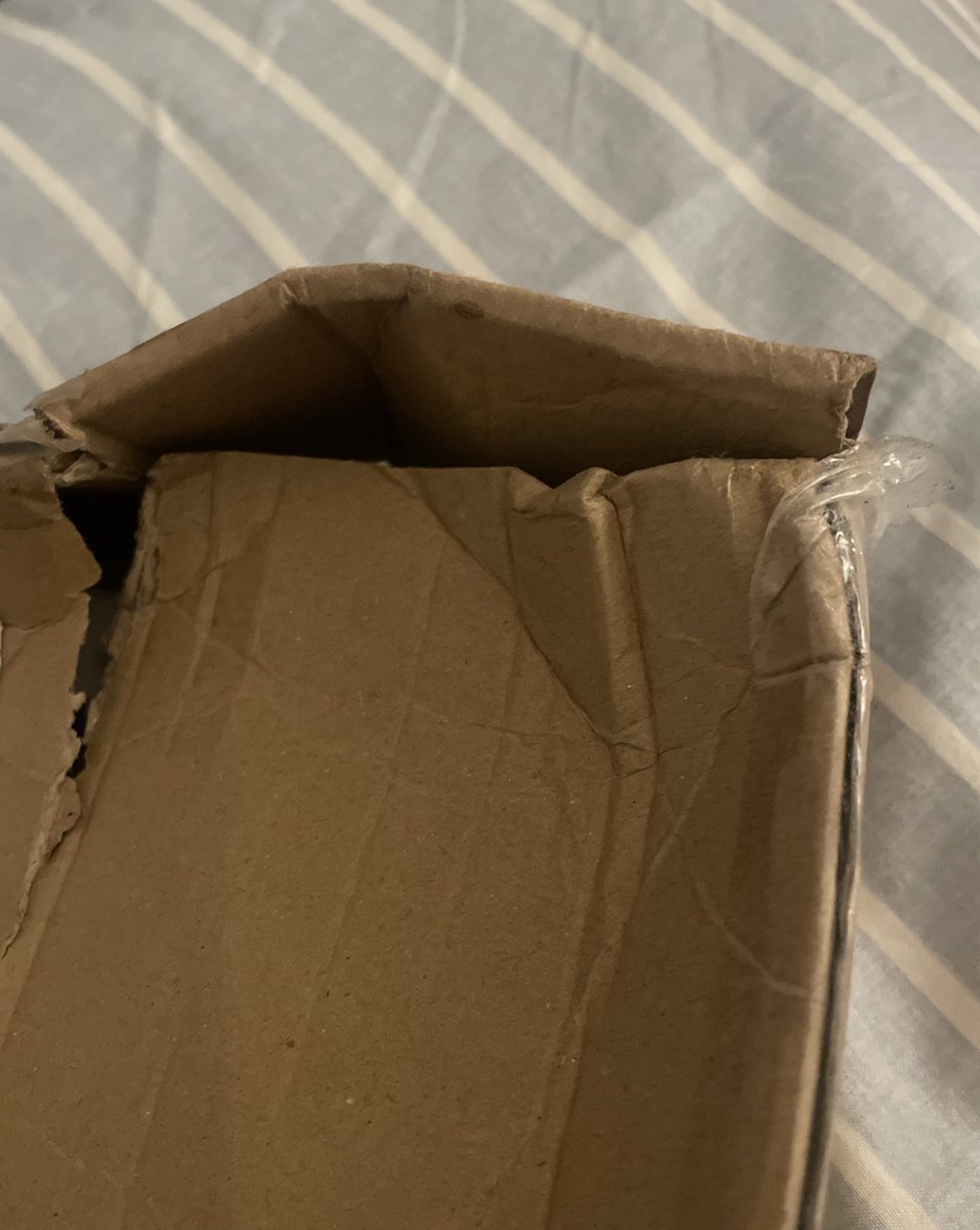 radgirl ★ tweet media