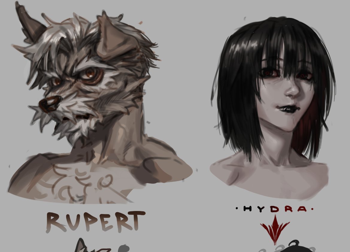 𝔰𝔥𝔦𝔫𝔦𝔤𝔞𝔪𝔦 🚬 tweet media