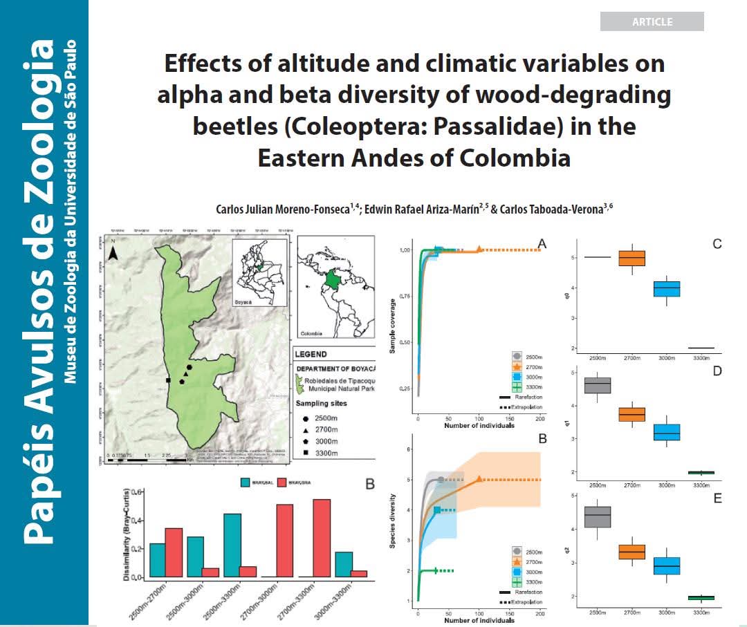 En este paper evaluamos como la altitud y heterogeneidad climática son  impulsores de la diversidad taxonómica de escarabajos pasálidos en los los andes colombianos 🌎🪲📊