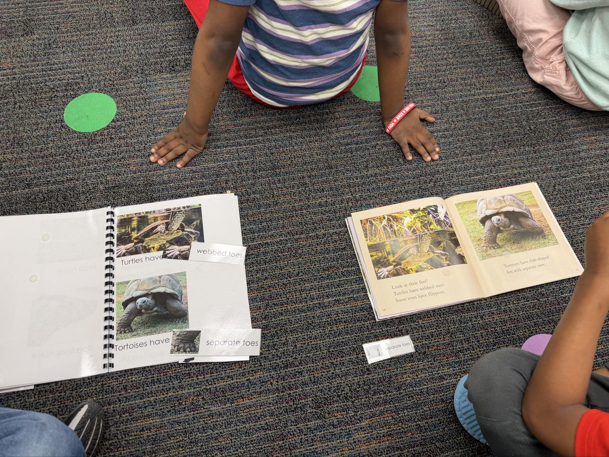 Ms Meath tweet media