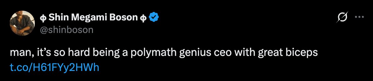 𝞍 Shin Megami Boson 𝞍 tweet media