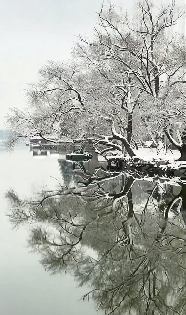 Time Traveler tweet media