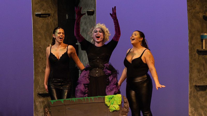 Springfield College tweet media