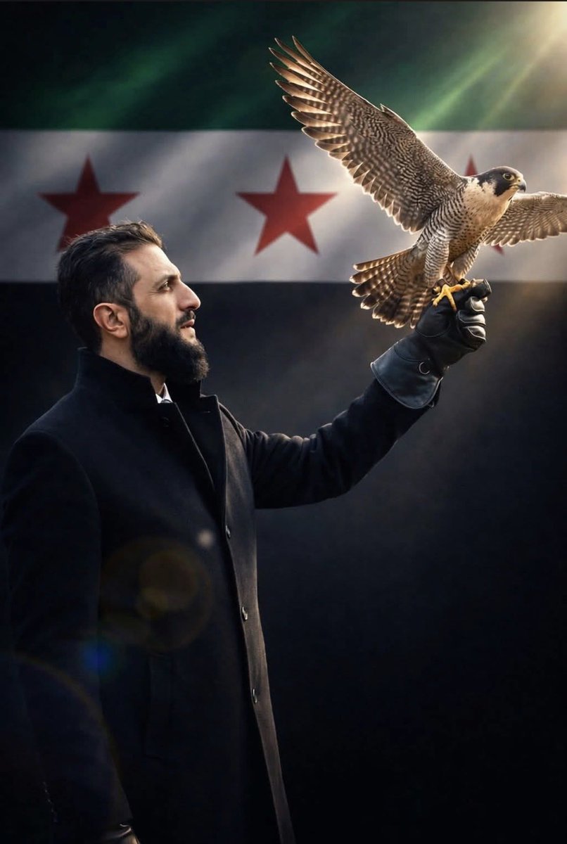 Solaf Dardir tweet media