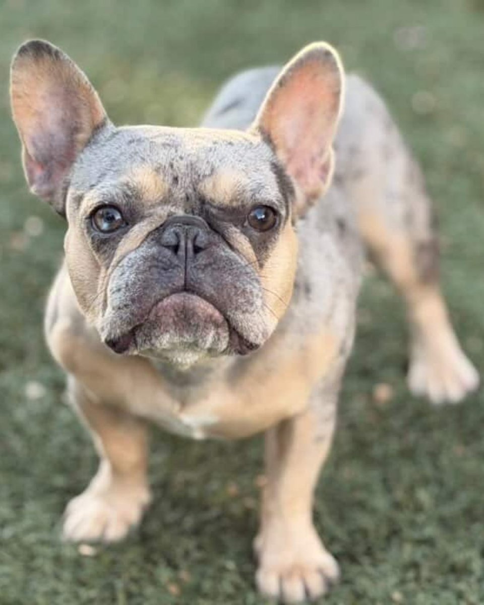 Orion WealthTech tweet media