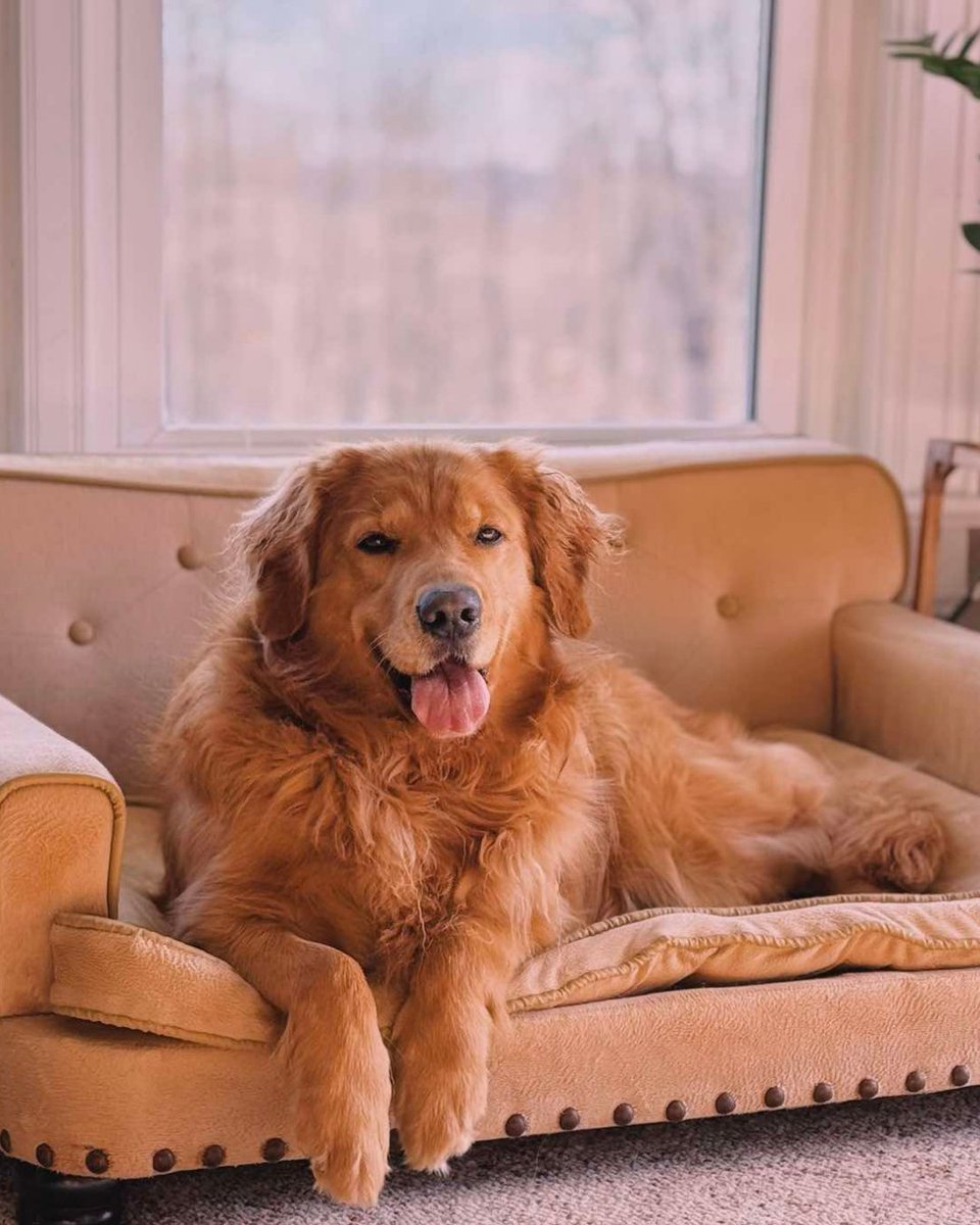 Orion WealthTech tweet media