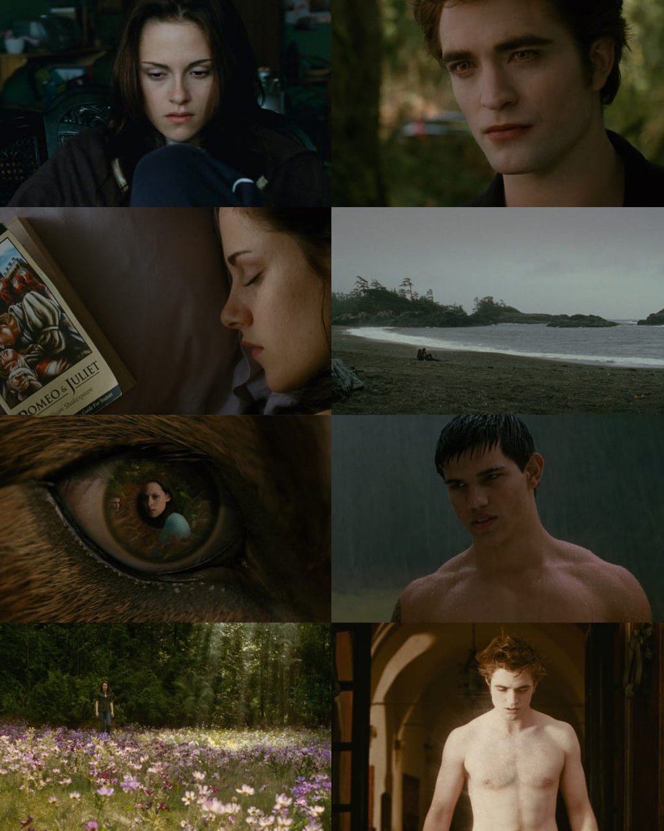 CINEMA 505 tweet media