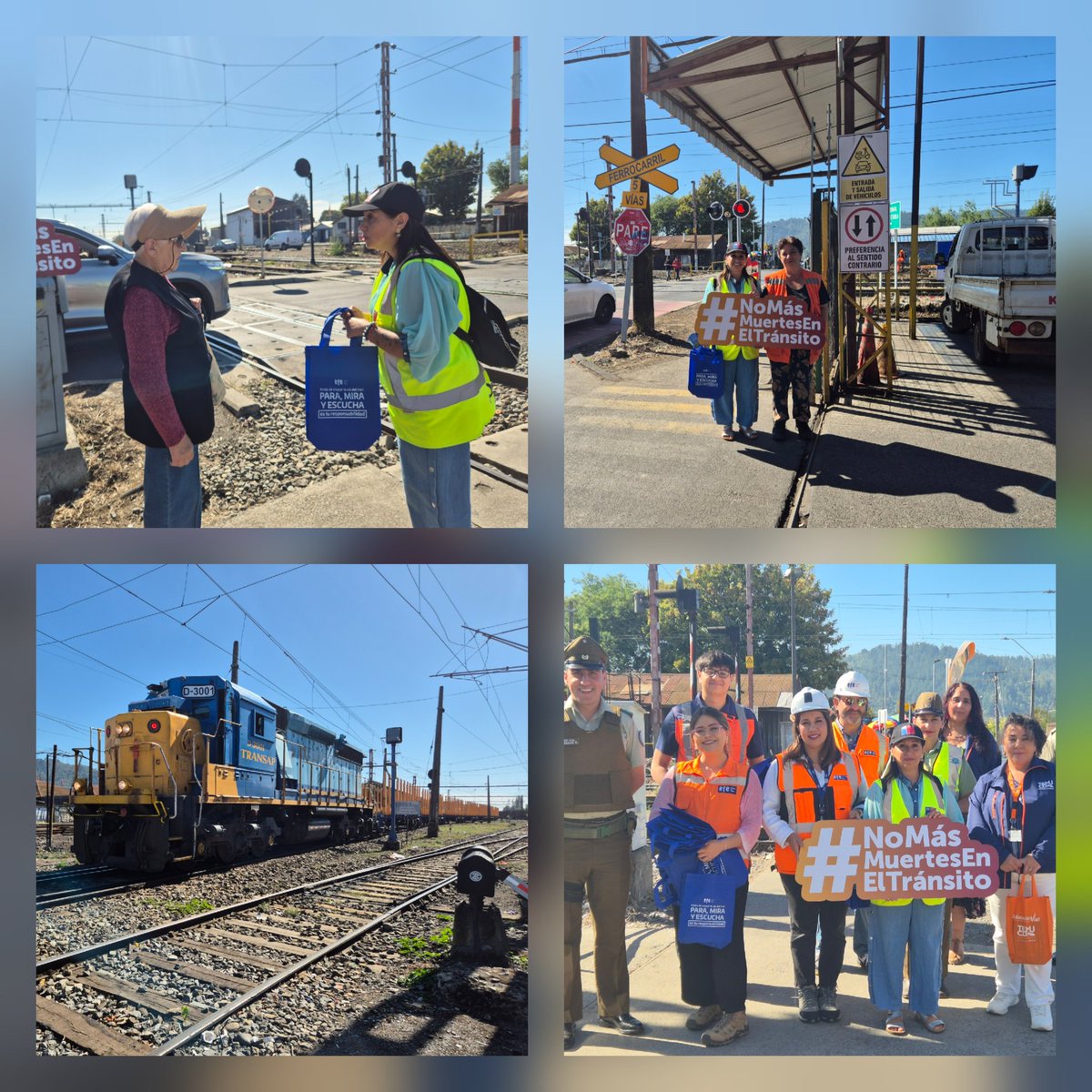 SeremiTT Región de La Araucanía tweet media