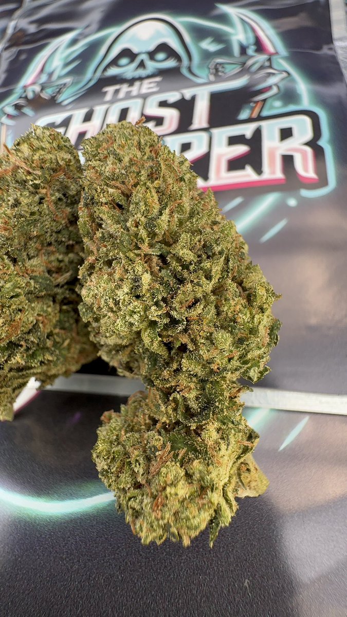 Limerickbuds1's tweet photo. Weed Delivery Tralee, Weed Delivery Ennis, Weed Delivery Athlone, Weed Delivery Letterkenny, Weed Delivery Tullamore, Weed Deluvery Naas, Weed Delivery  Killarney, Weed Delivery Carrick-on-Shannon, Weed Delivery Mullingar, and Weed  Delivery Drogheda. https://t.co/I8XTnJTBfI