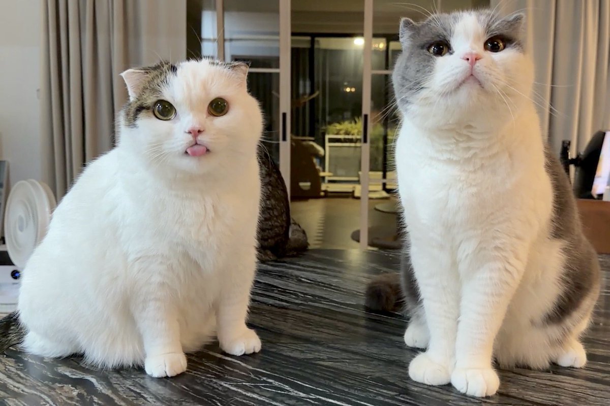 ความยาวขา ทำไมมันต่างกันขนาดนี้5555