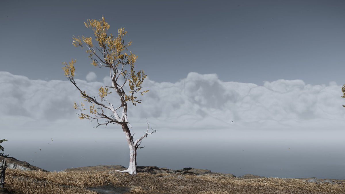 Sesha_CR7📸 tweet media