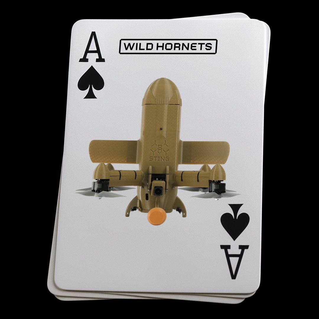 Wild Hornets tweet media