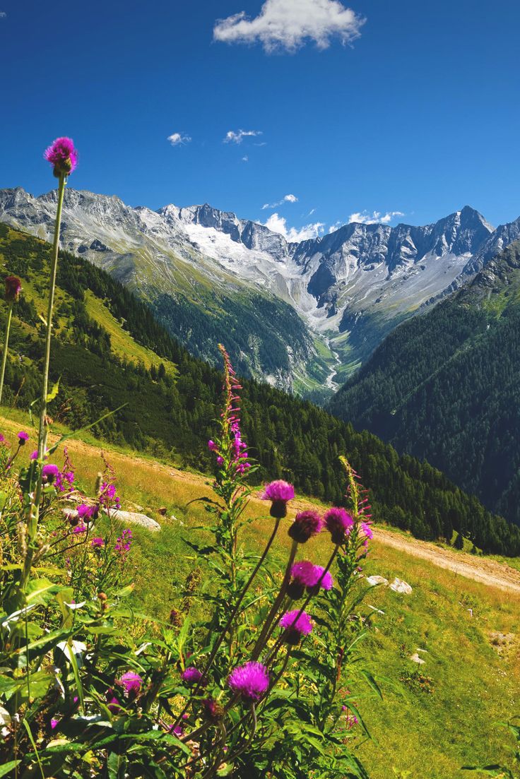 naturaholic's tweet photo. Austria countryside https://t.co/XXBgEJQi7L