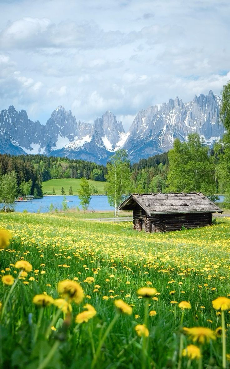 naturaholic's tweet photo. Austria countryside https://t.co/XXBgEJQi7L