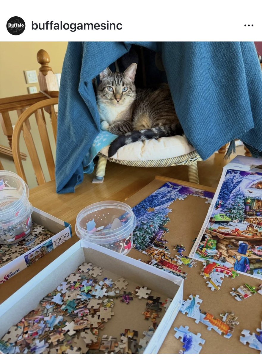 🐛🌷Dean🦋🪴 tweet media