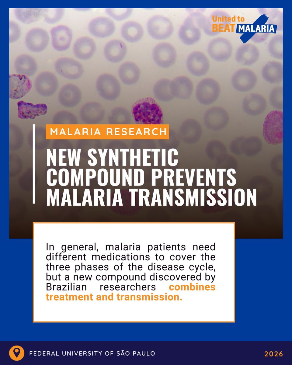 beatmalaria's tweet photo. Another game-changer to #beatmalaria!

Researchers in Brazil have developed a molecule that treats malaria AND prevents its spread. Current treatments only target one stage of the parasite's lifecycle. This one targets 3: the liver, the bloodstream, and transmission. 🔬 https://t.co/vre94NdK4p
