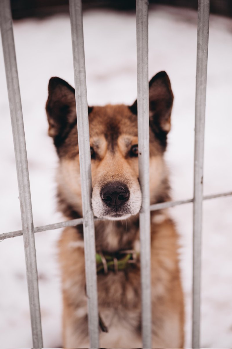 DzAB ''Ķepu-ķepā'' tweet media