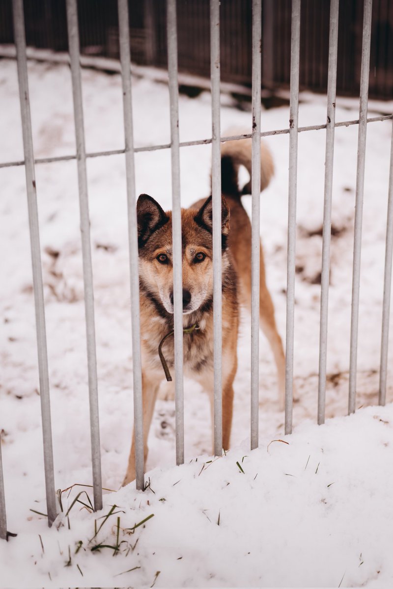 DzAB ''Ķepu-ķepā'' tweet media