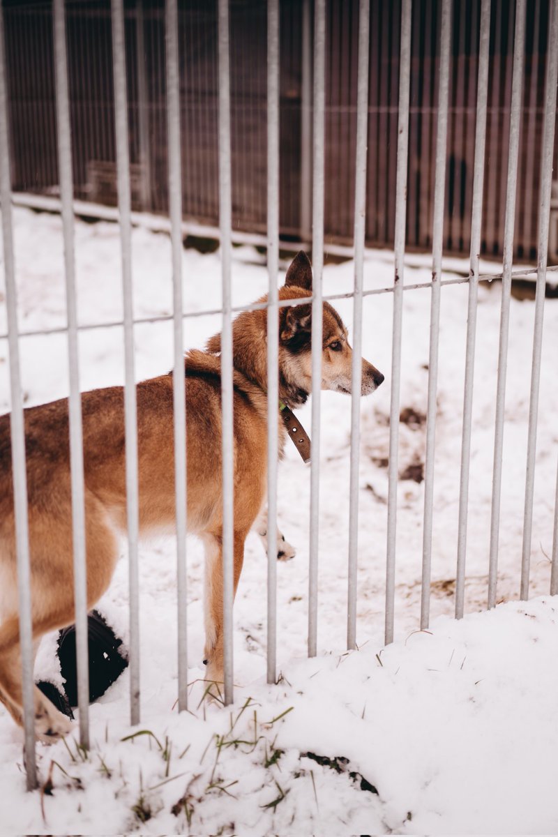 DzAB ''Ķepu-ķepā'' tweet media