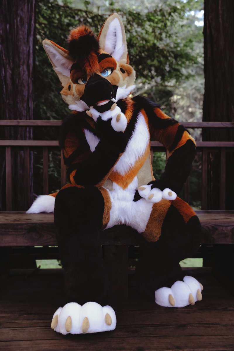 𝕂𝕒𝕫𝕚 tweet media