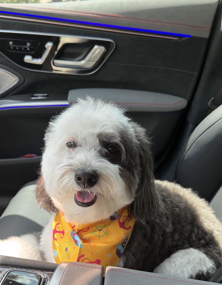 Jared Moskowitz tweet media