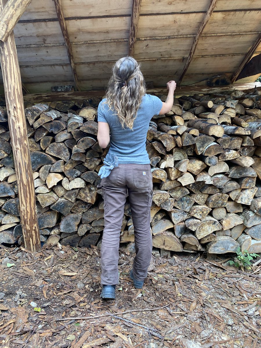 Nicolle Love tweet media