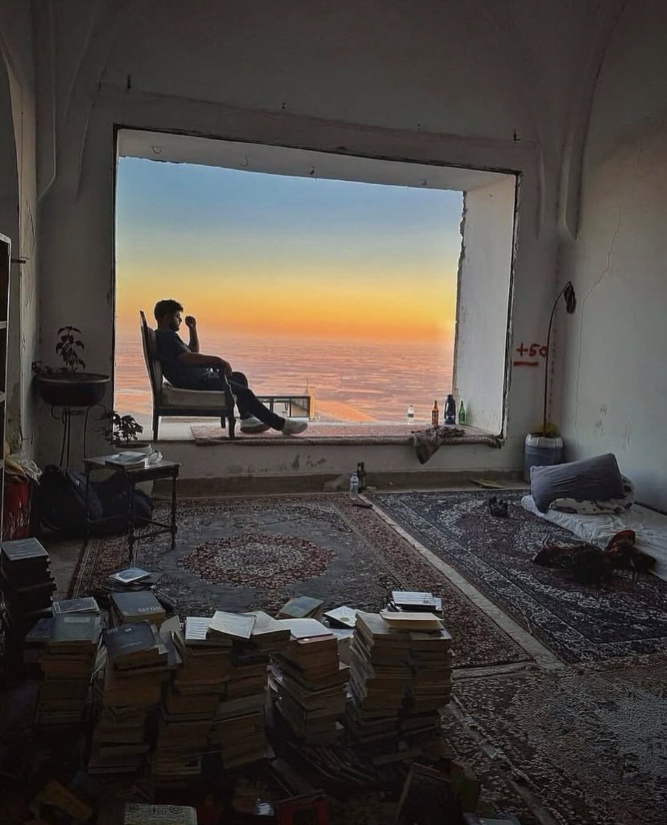 ₕₐₘₚₜₒₙ tweet media