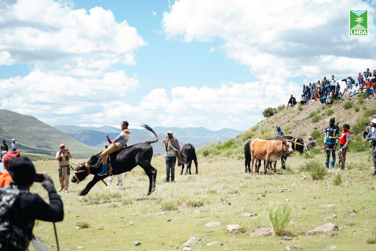 Mpho Brown tweet media