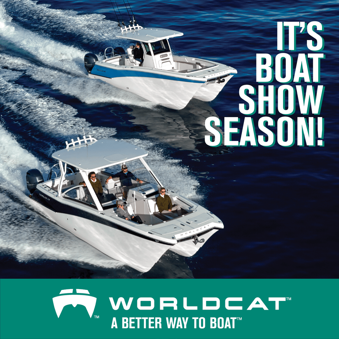 World Cat Boats tweet media