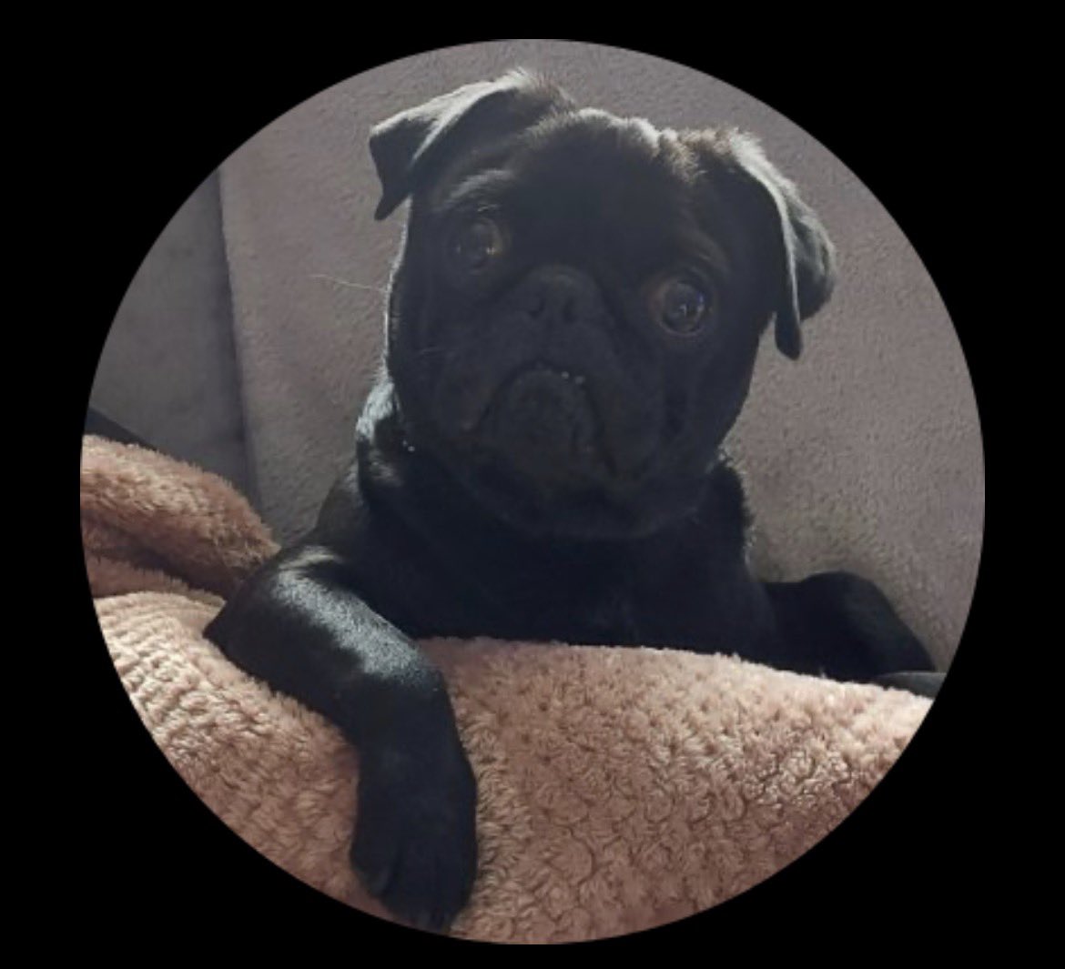 Seán Ako 🇮🇪 tweet media