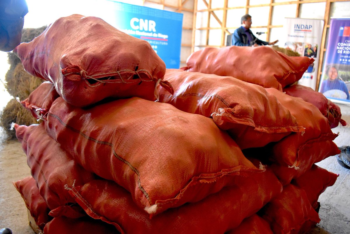 Minagri Biobío tweet media