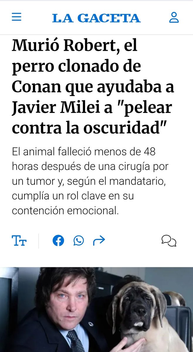 Dante López Foresi tweet media