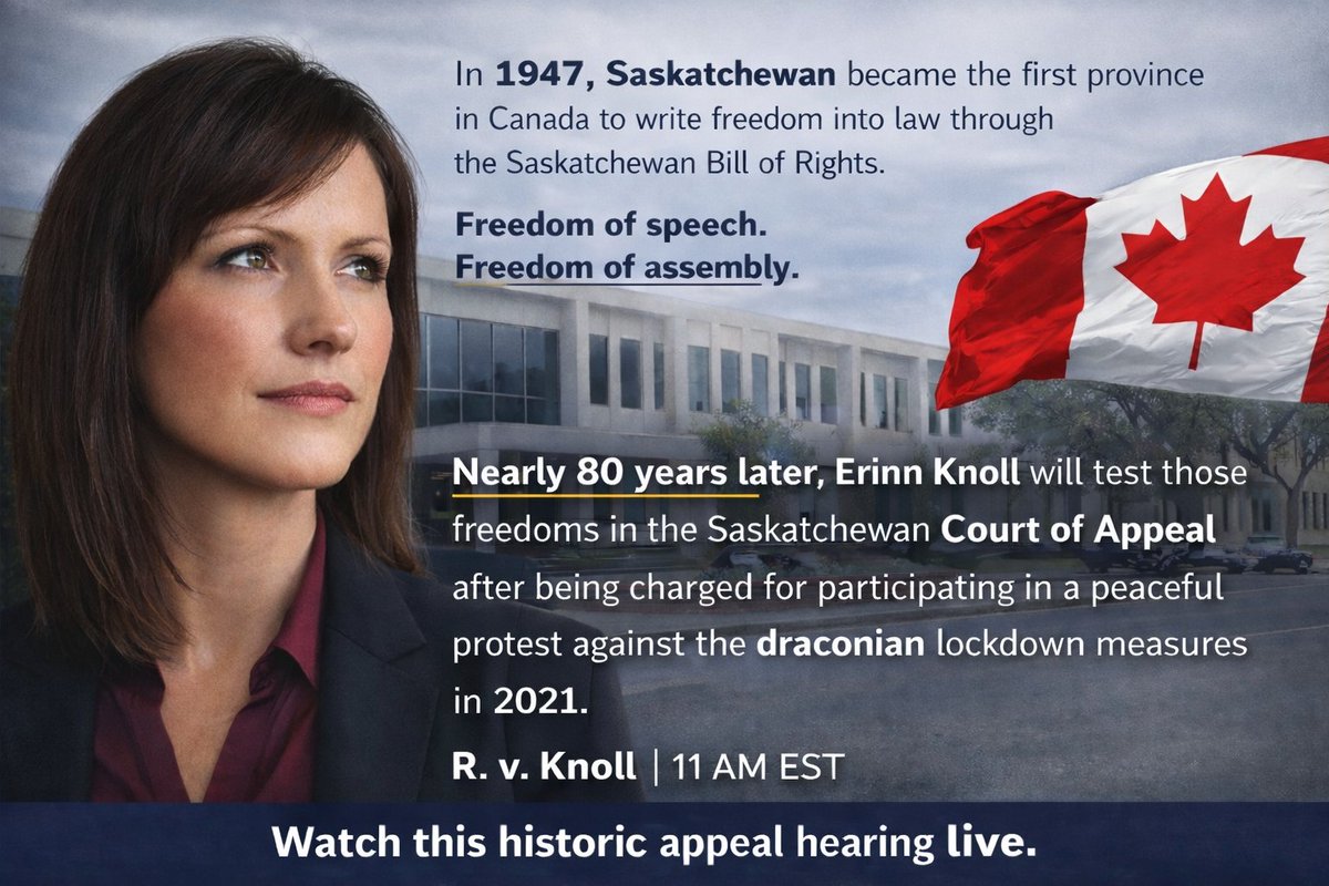 Dave Freedom tweet media