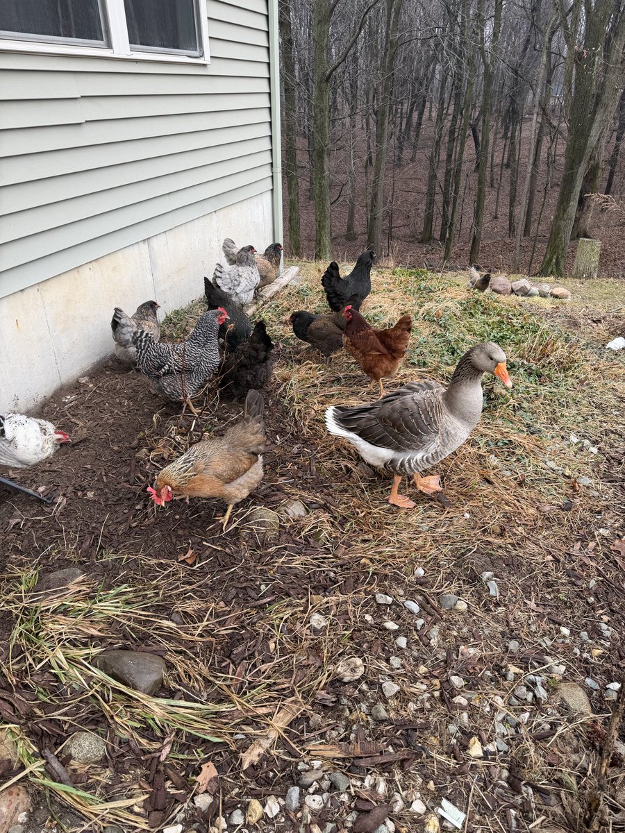 Lady MacGyver tweet media