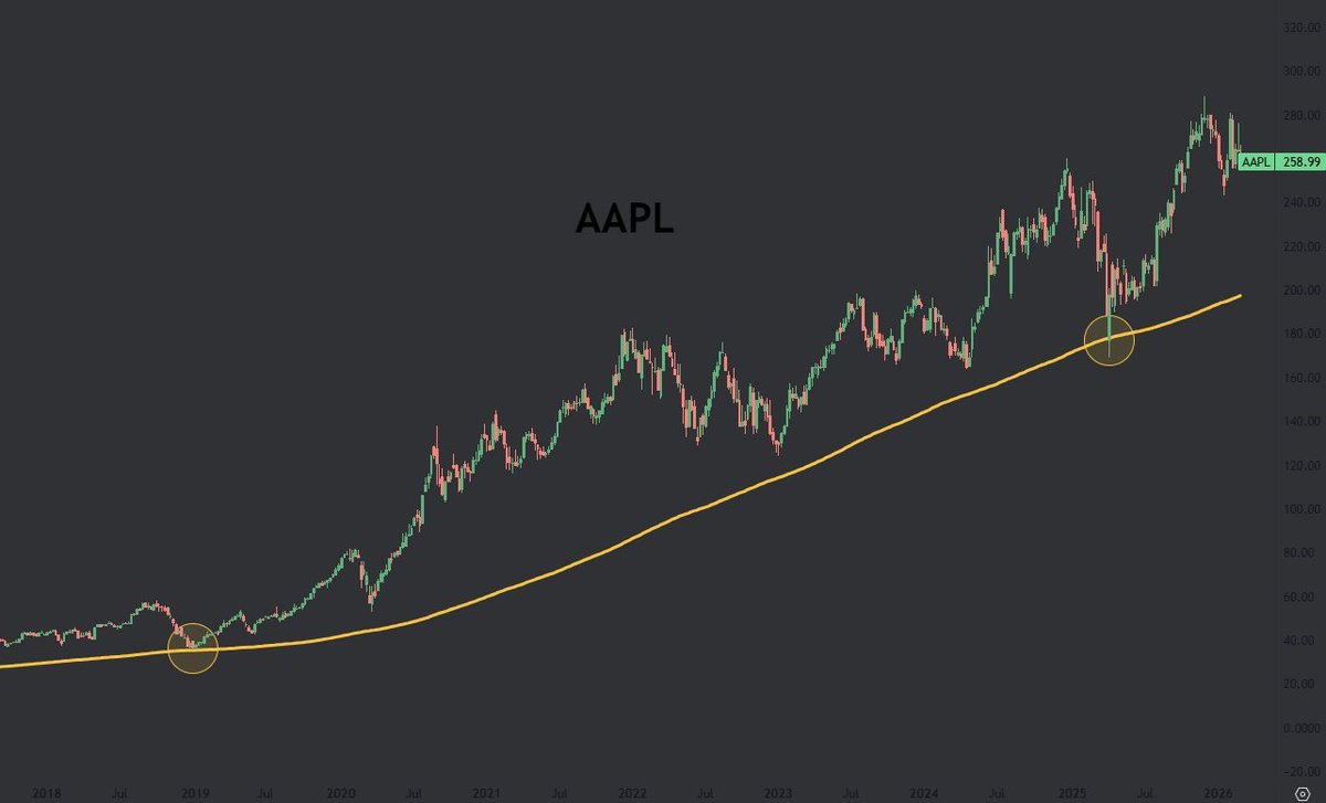 Lorenzo Couget tweet media