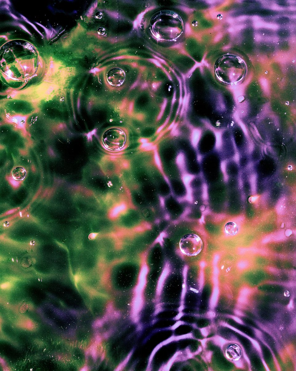 ｊｏｊａ tweet media