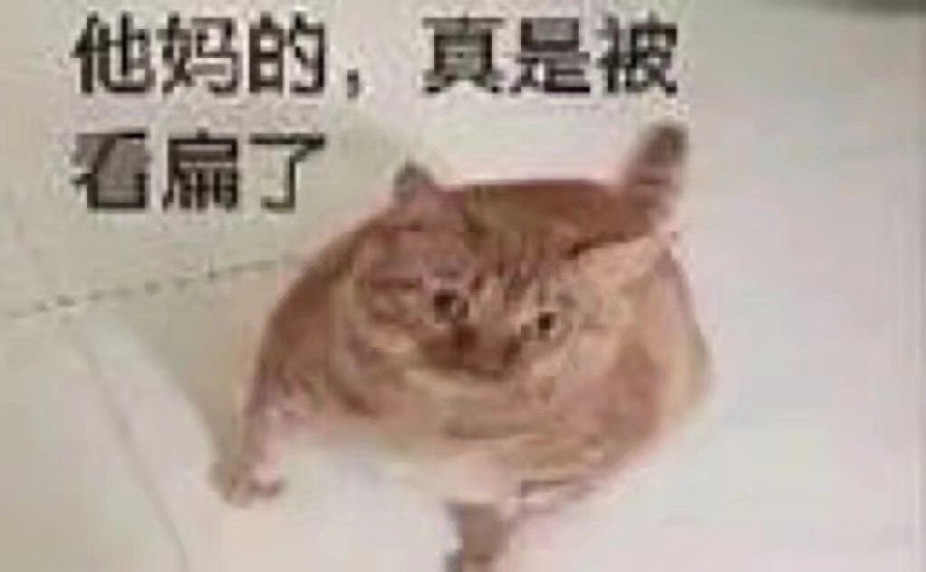 独角狗儿 tweet media