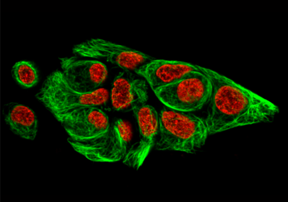 RPMC Lasers, Inc. tweet media