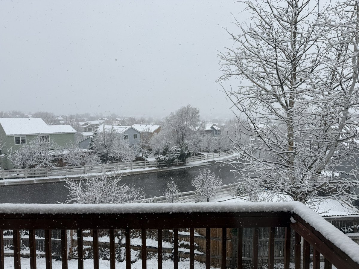 Kurama 🔜 LVFC tweet media