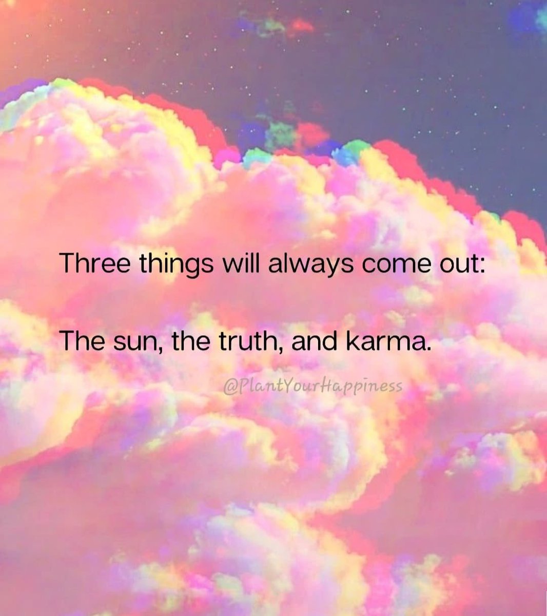 🧬Maxpein🧬 tweet media