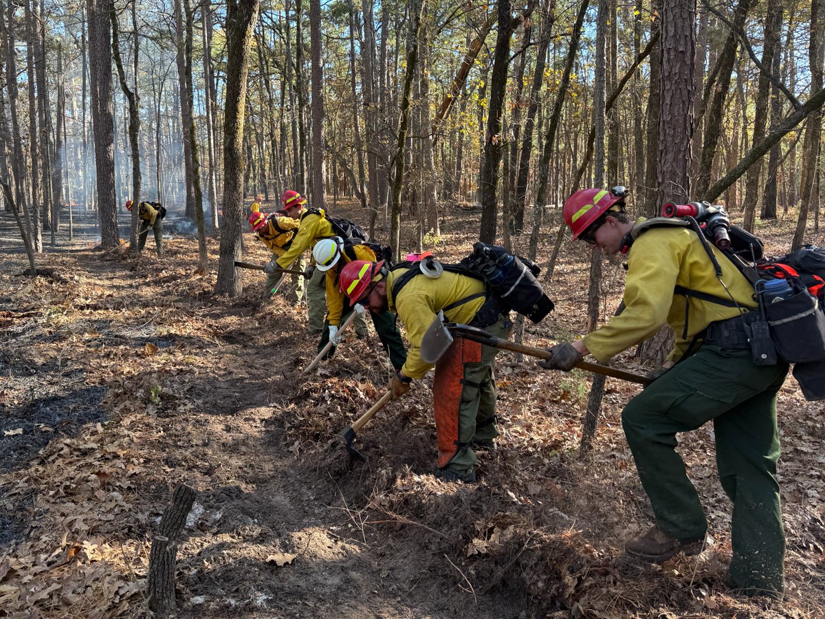 Texas A&M Forest Service tweet media