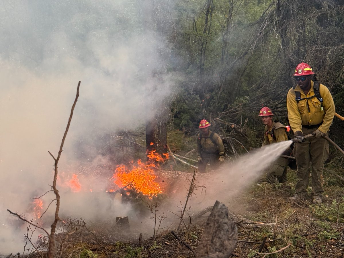 Texas A&M Forest Service tweet media