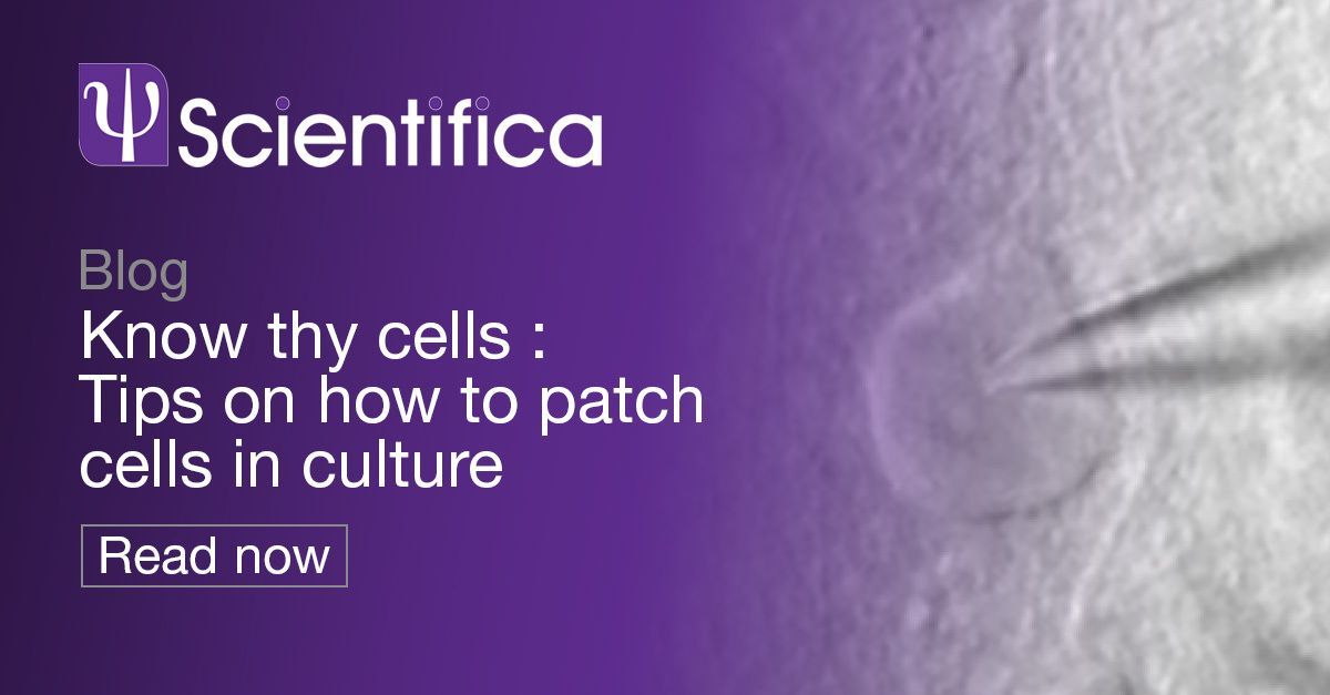 Scientifica tweet media