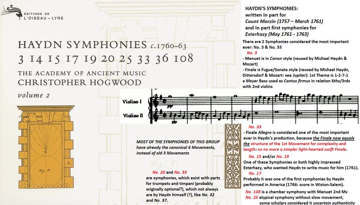 The Haydn Guild tweet media