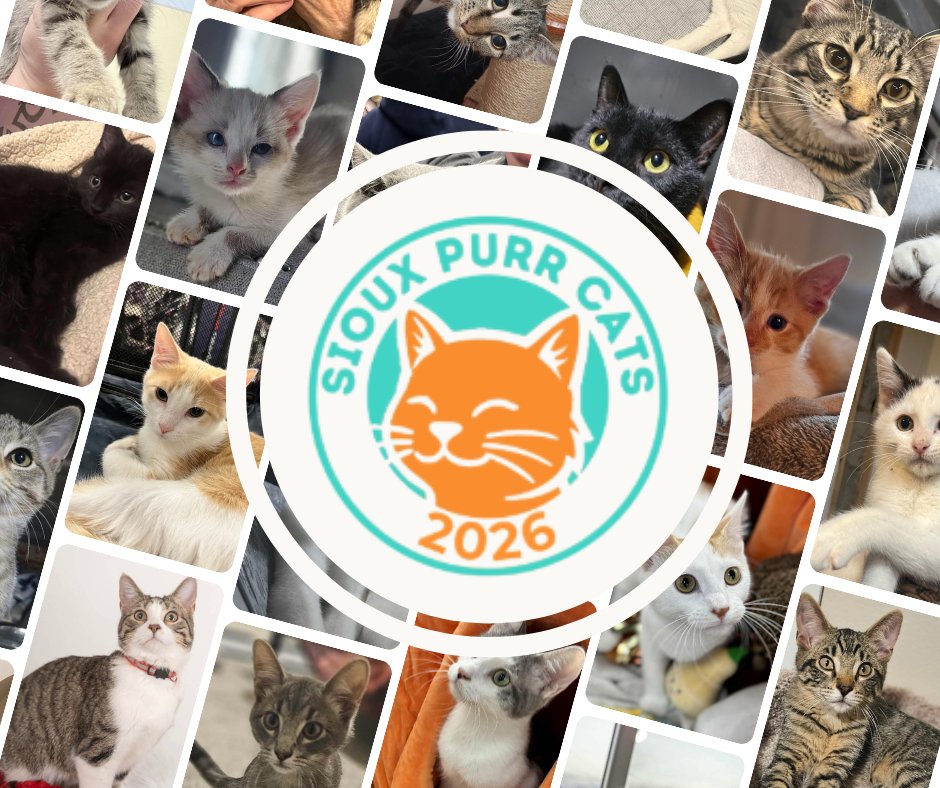 Convention Center at Denny Sanford PREMIER Center tweet media