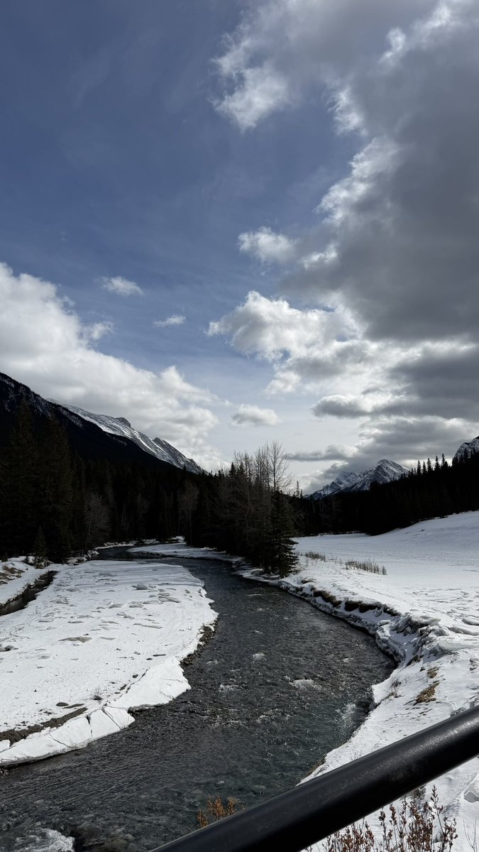 Benjamin tweet media