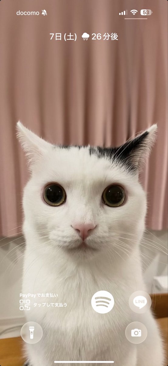 RIPASUKO tweet media