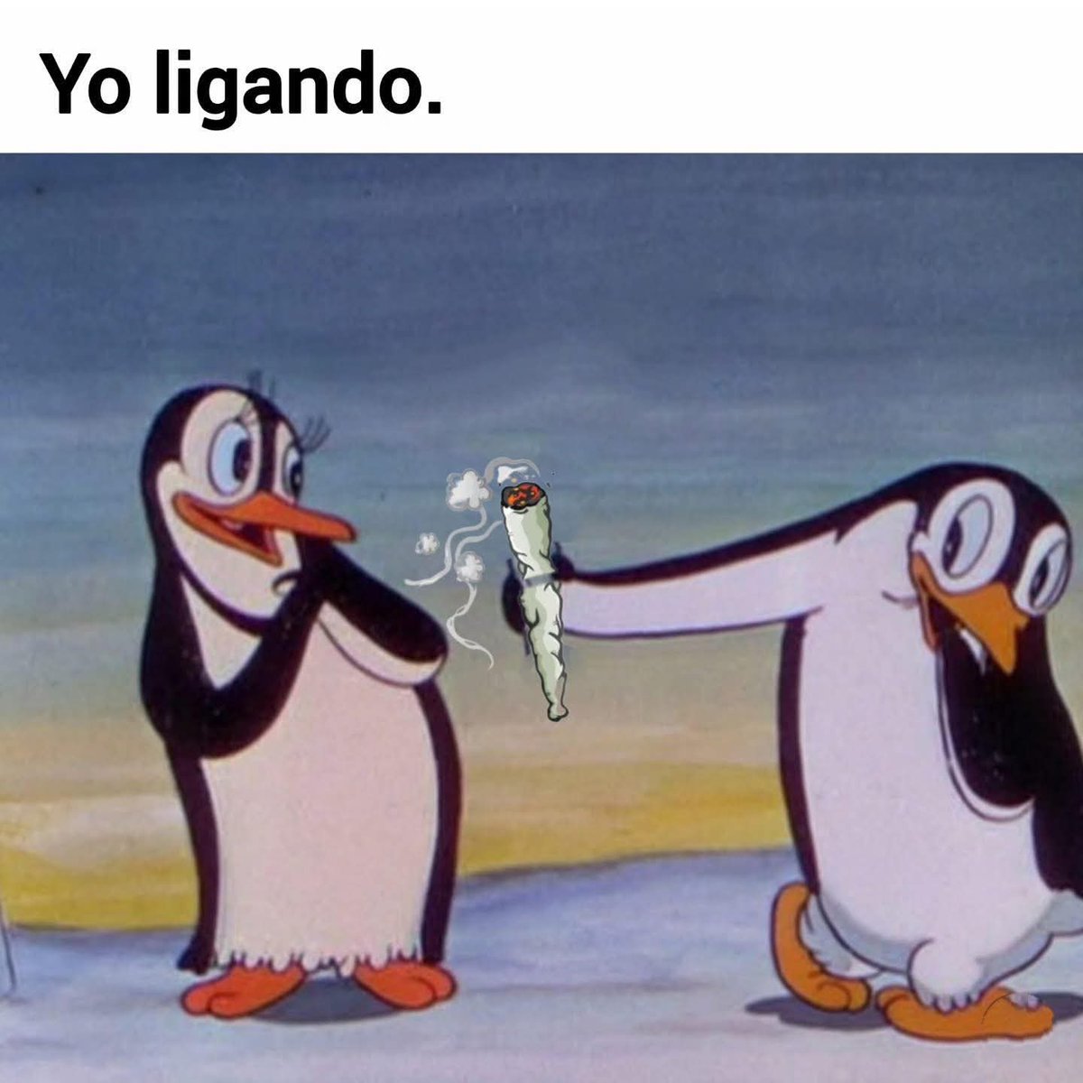 Estación 420 tweet media